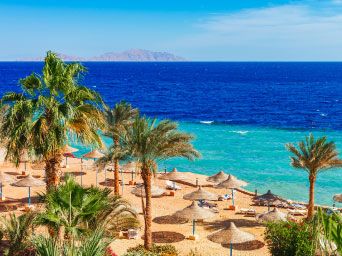 Sun umbrellas & palm trees on a beach