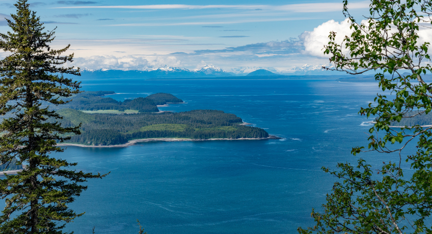 Coastal landscape with blue ocean and distant mountains, a forested island and headland, and green trees framing the view under a partly cloudy sky.