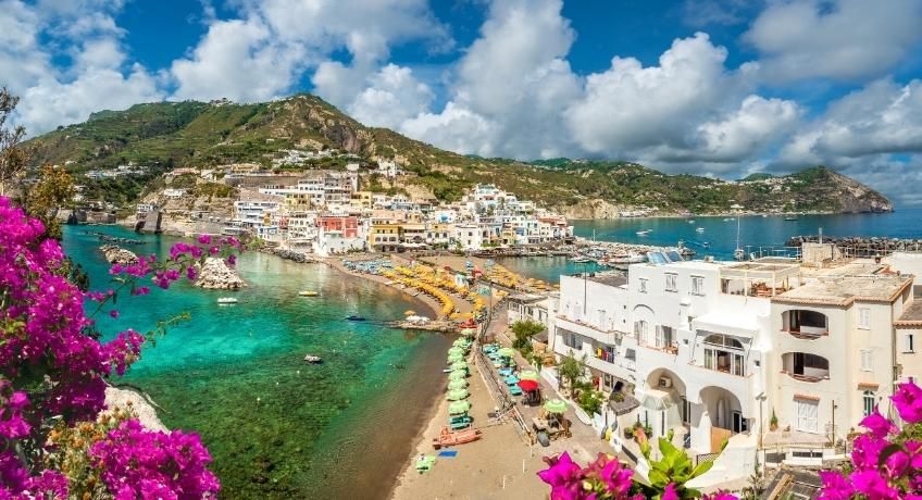 Coastal town with white buildings, sandy beach, turquoise bay, green hills, rocky headland, purple flowers in foreground.