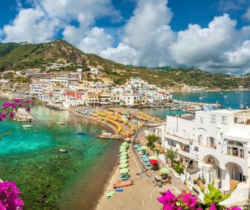 Coastal town with white buildings, sandy beach, turquoise water, green mountain, bright pink flowers in the foreground.