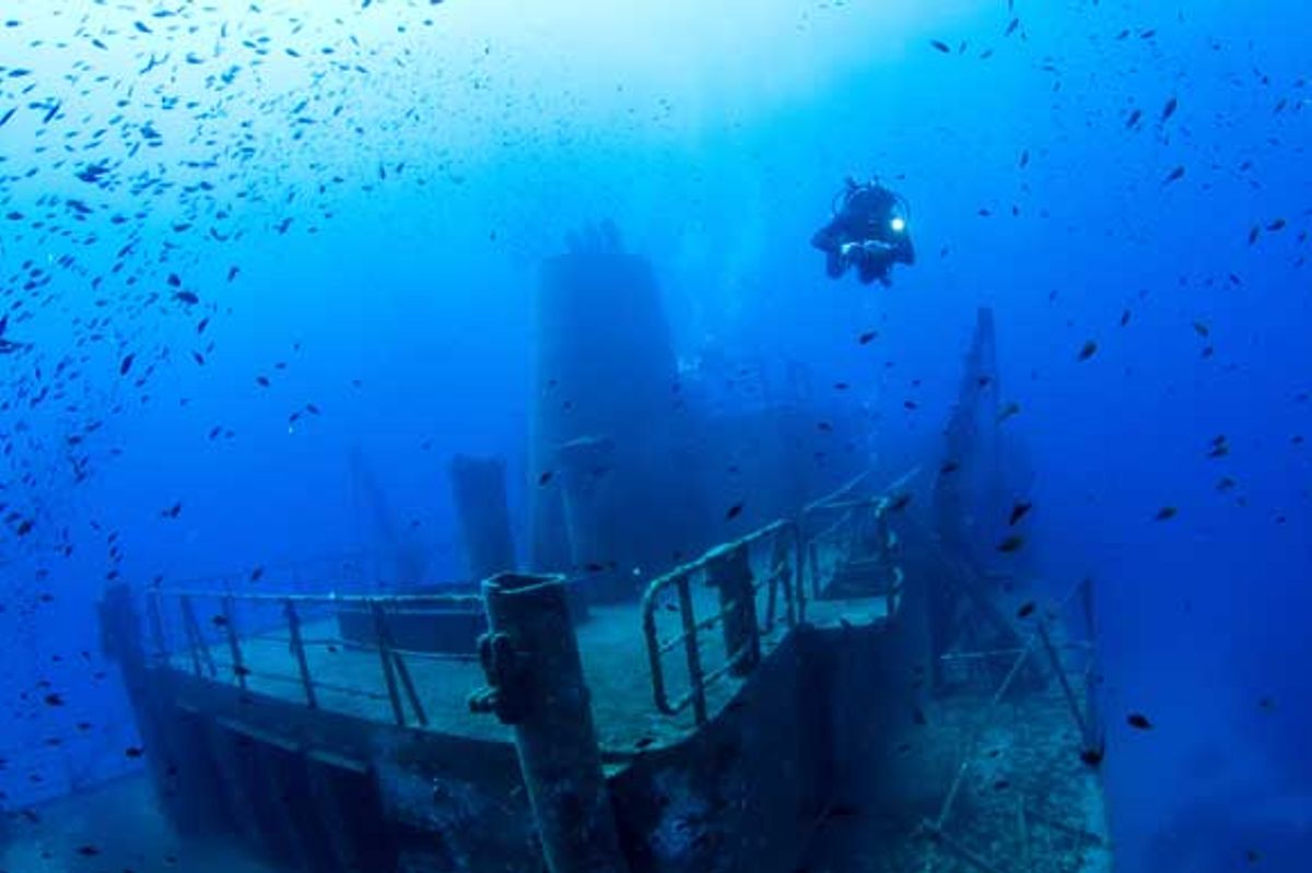 Diver marvels in Malta's largest wreck site - Um El Faroud 