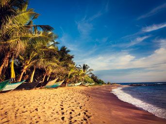 Palm trees & boats along a beach in Sri Lanka