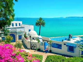 Traditional blue & white buildings in Tunisia