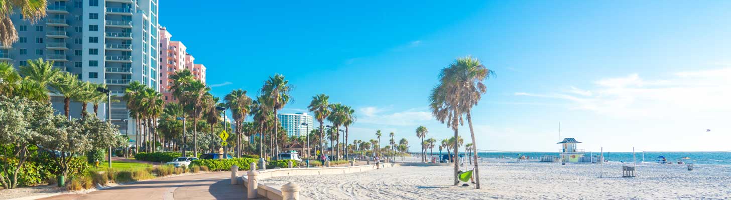 White sands & palm trees along Clearwater beach in Florida