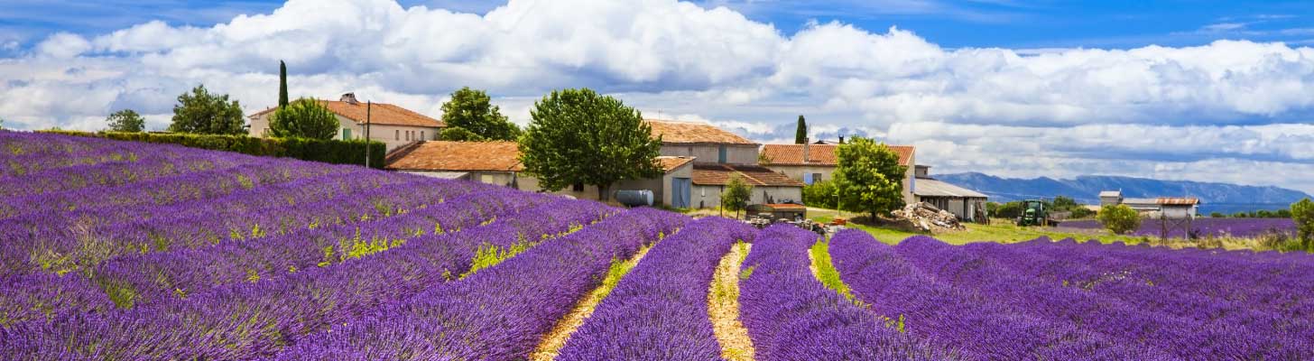 Traditional stone houses overlooking lavender fields in Provence, France