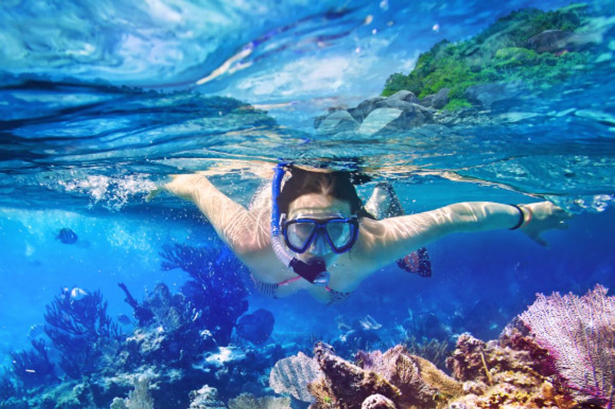 Woman snorkeling in the ocean surrounded by tropical corals and marine life 