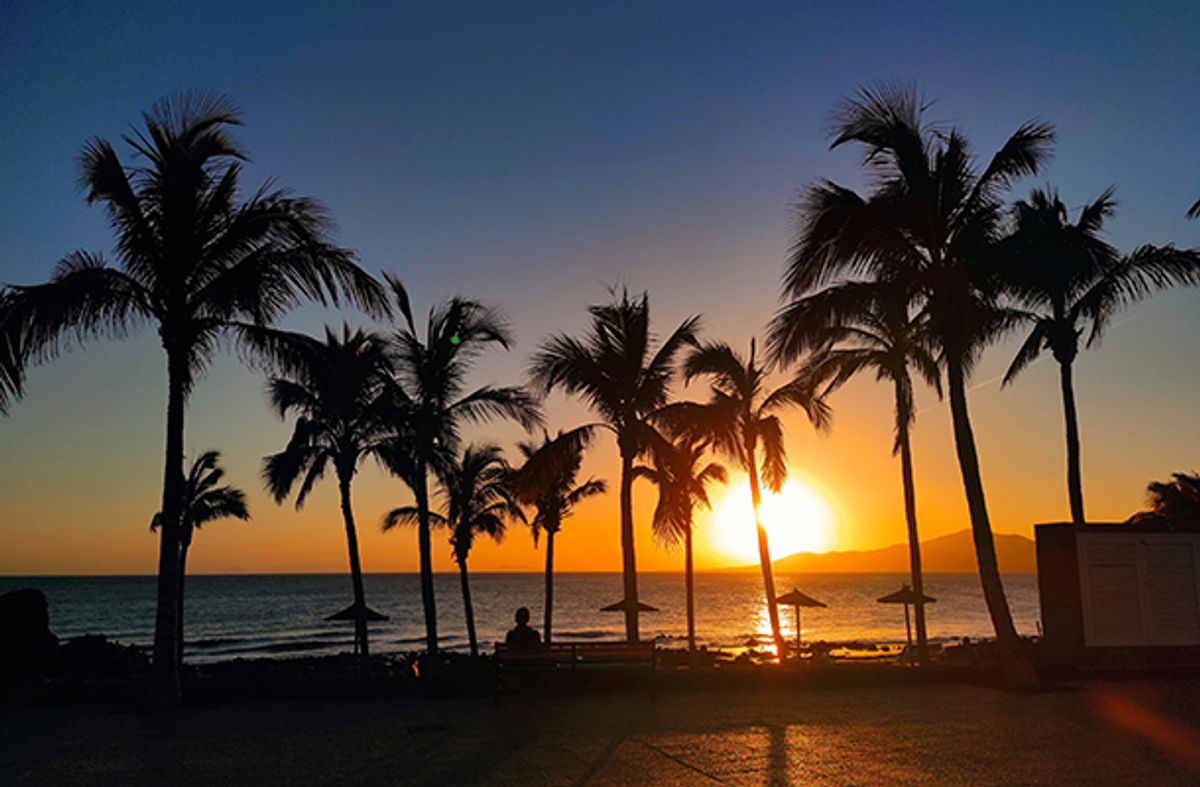 Palm trees at sunset in Lanzarote