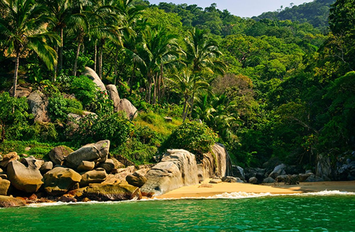 Small beach and jungle in Puerto Vallarta