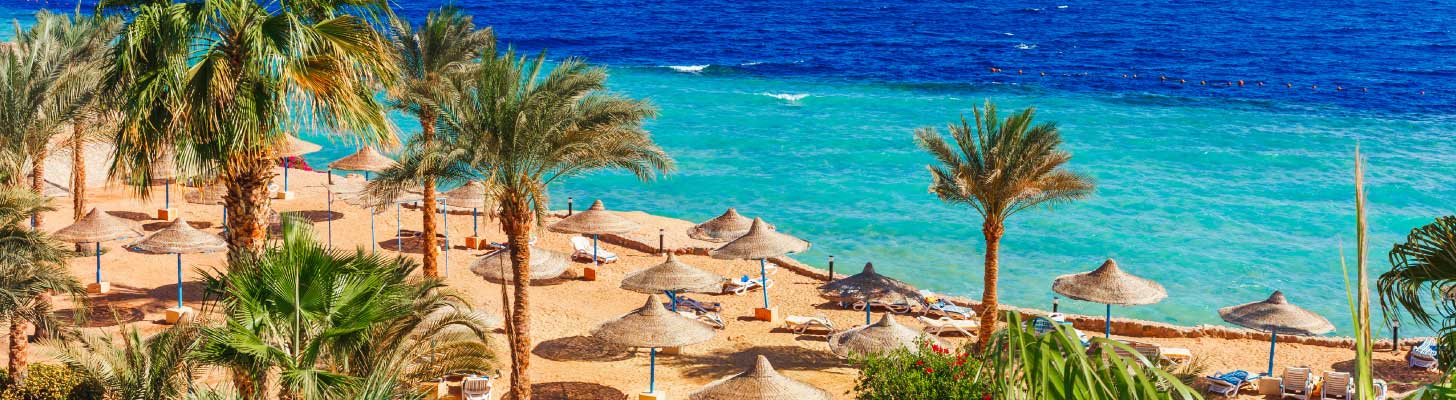 Palm trees, golden sands & turquoise waters of a beach in Sharm el Sheikh