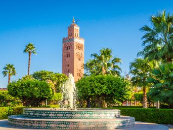 Mosque & palm trees in Morocco