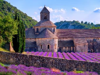 Lavender fields in front of a church in France