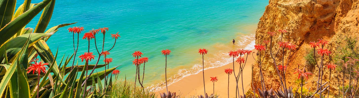 Golden sands & turquoise waters of a beach in the Algarve