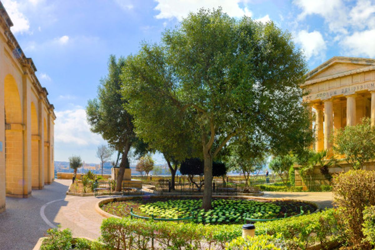 The flora and fauna in Barrakka Gardens Valletta Malta