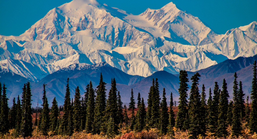 Snow-covered mountain range under a clear blue sky, with dark evergreen trees in the foreground at the base of the peaks.