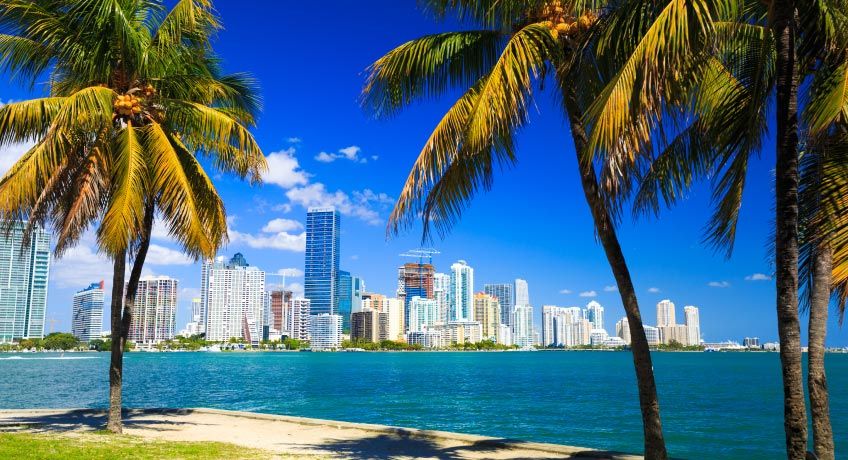Skyline of Miami in the background