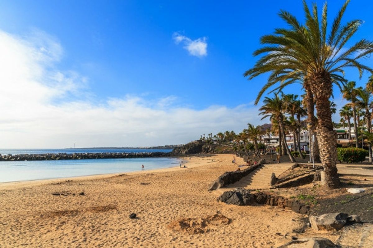 Palm trees towering the golden grains of sand on Playa Flamingo beach in Lanzarote