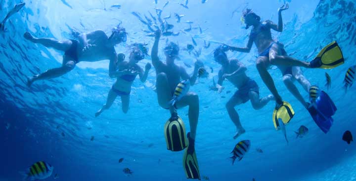 People snorkeling in the sea