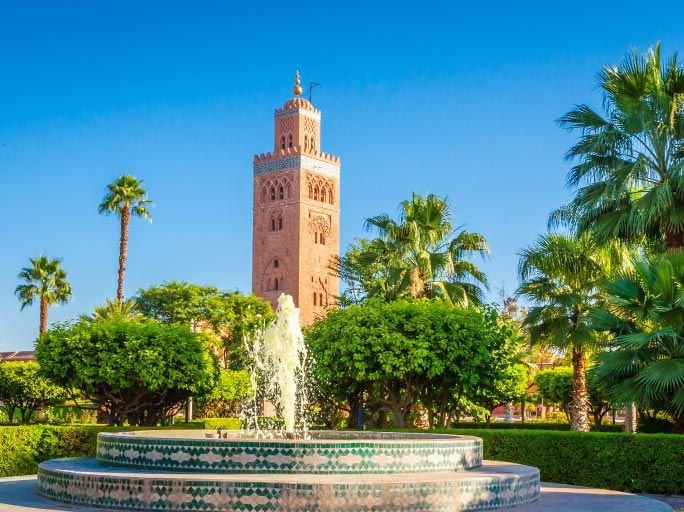 Mosque & palm trees in Morocco