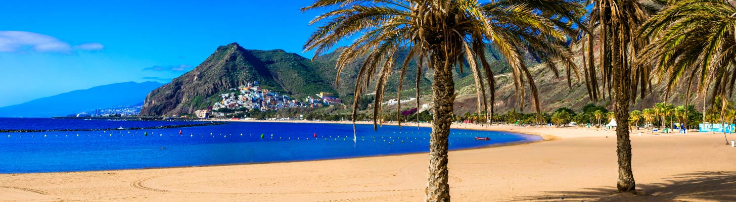 Palm trees on a sandy beach in Tenerife with hills in the background