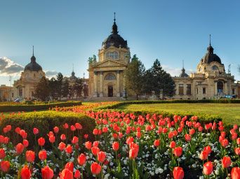 Tulips in front of a state building in Hungary