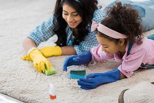 Why DIY Carpet Cleaning Might Be Harming Your Floors