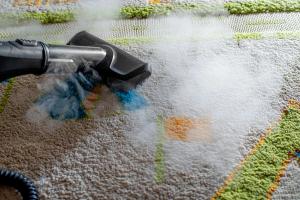 How Professional Carpet Deodorizer Services Eliminate Stubborn Odors for Good