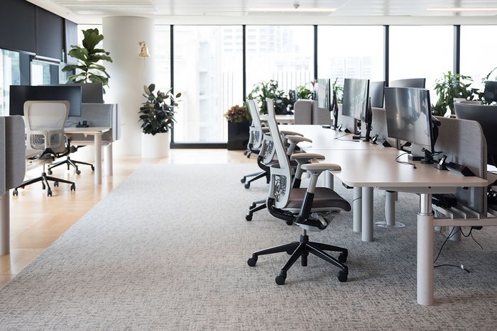 Why Your Business Needs Professional Commercial Carpet Cleaning (And How Often)