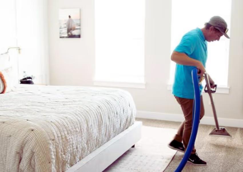 How Often Should You Get Your Carpets Professionally Cleaned?