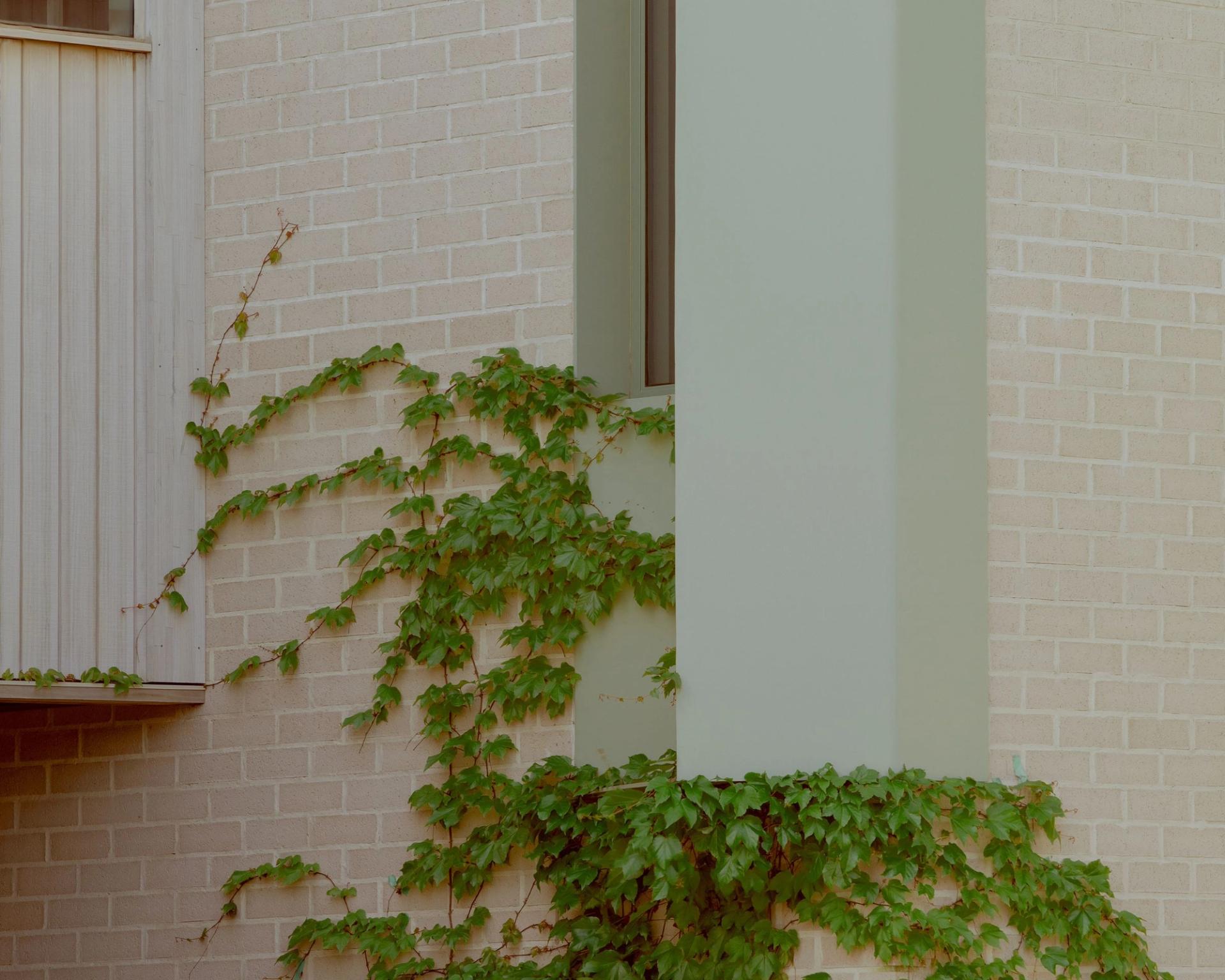 Kennedy Nolan Apartments Fitzroy North