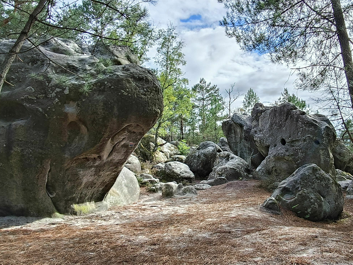 Forêt domaniale de La Commanderie