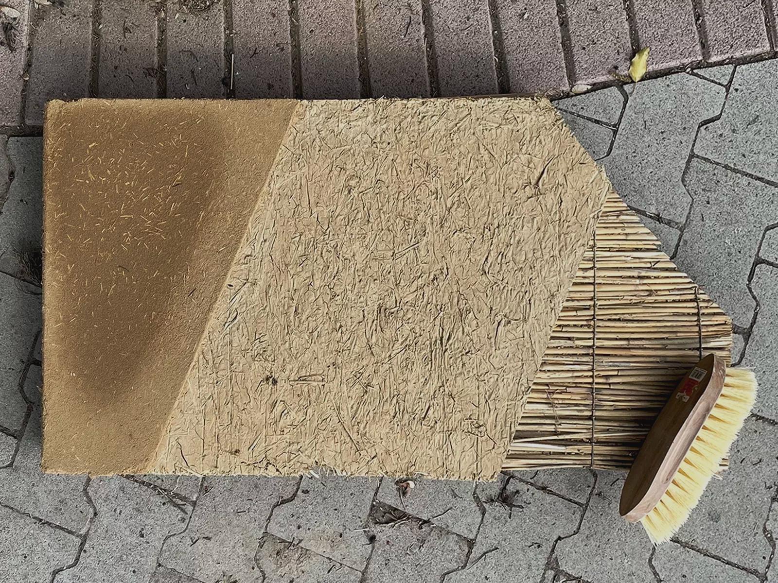 Panneau de roseaux-terre