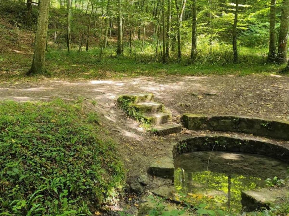 Forêt domaniale de Loches