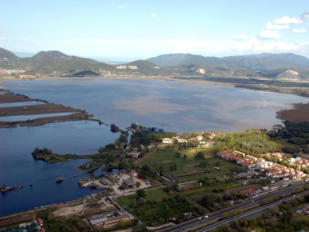 Lago di Massaciuccoli (ROSELIÈRE SUPPOSÉE)