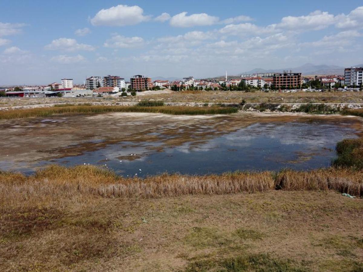 Beyşehir (ROSELIÈRE SUPPOSÉE)