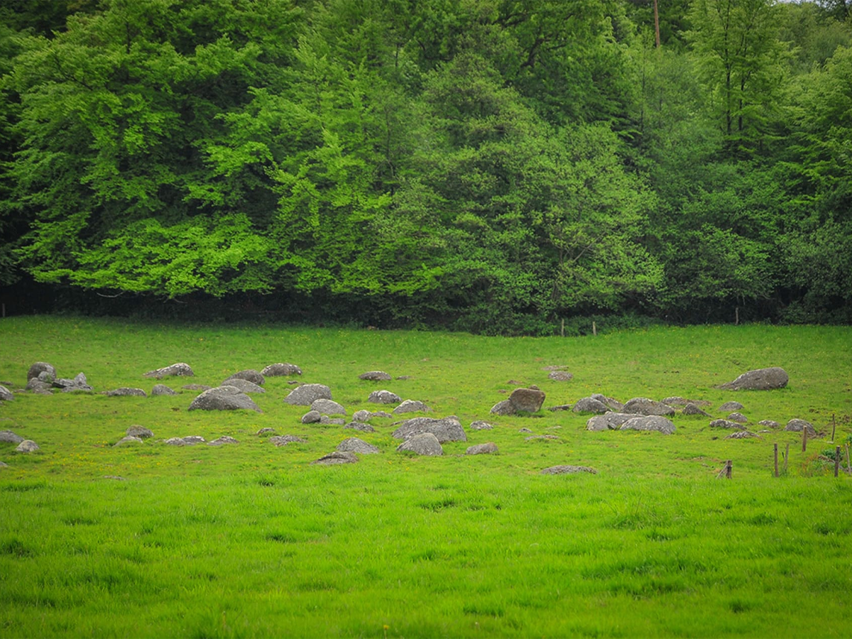 Forêt de l'Ermitage