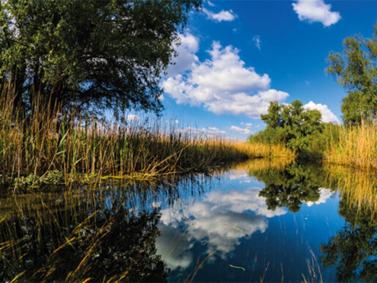 Delta Dunării (ROSELIÈRE SUPPOSÉE)