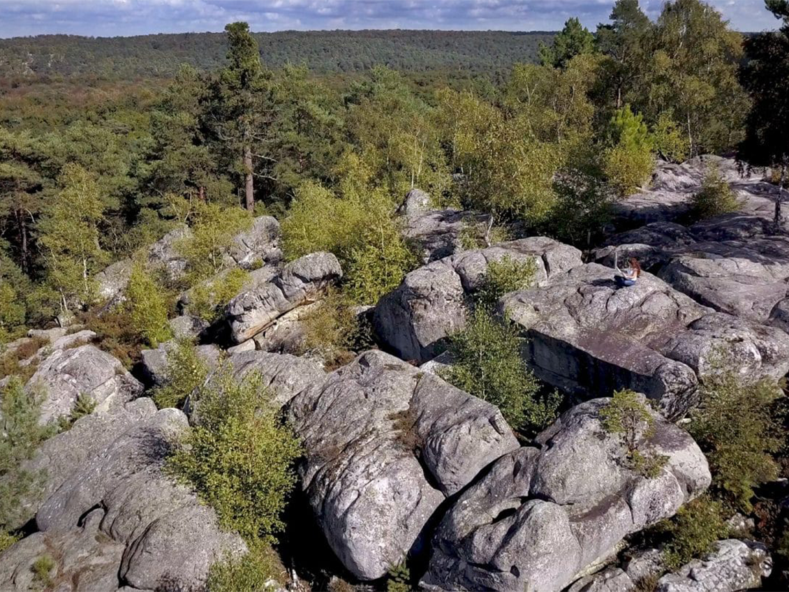 Forêt domaniale de Trois Pignons