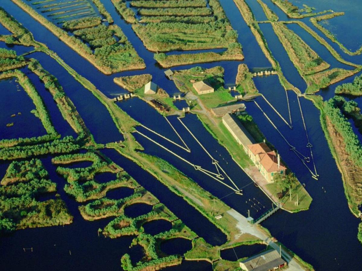 Valli di Comacchio (ROSELIÈRE SUPPOSÉE)