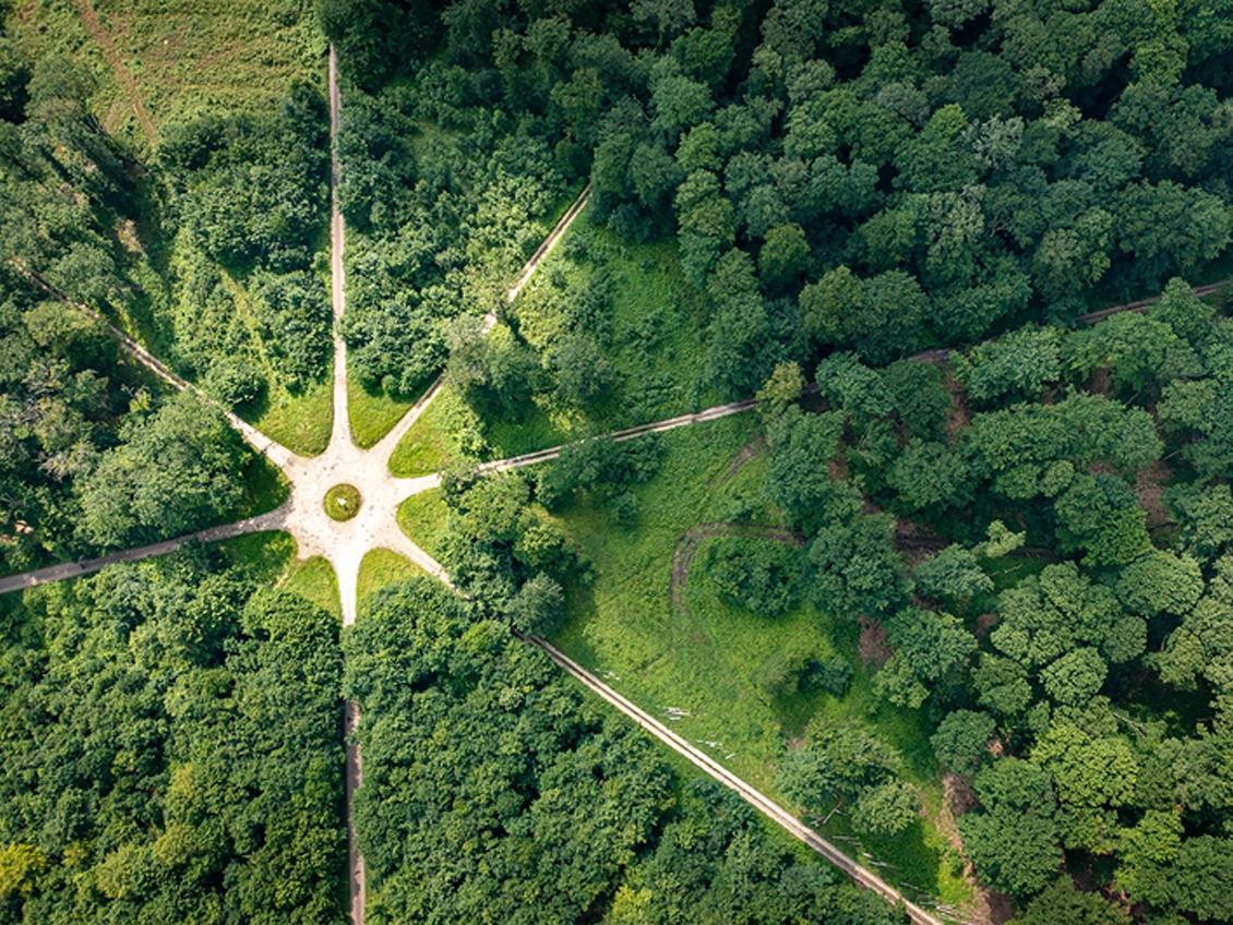 Forêt domaniale de Retz