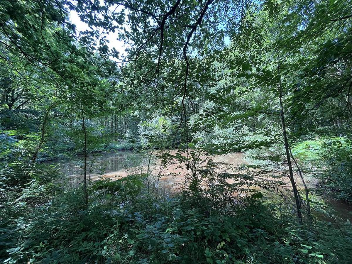 Forêt domaniale de Moulins-Bonsmoulins