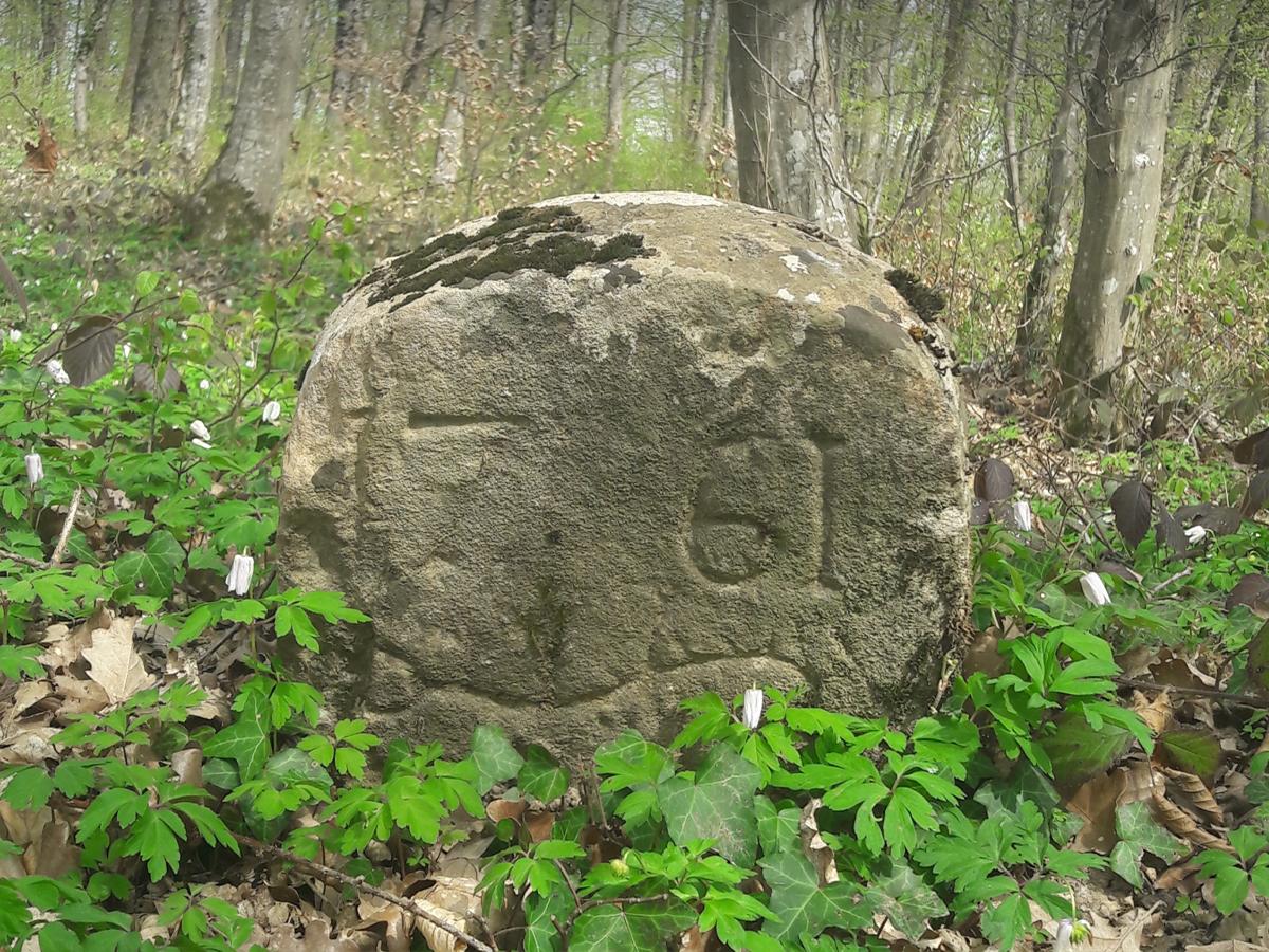 Forêt domaniale du Bois Bourgeois (Armançon)