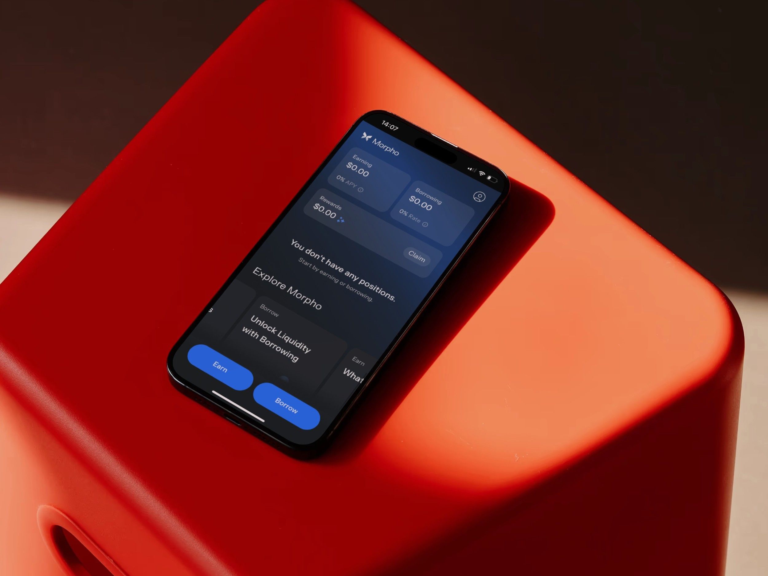 Morpho case study cover