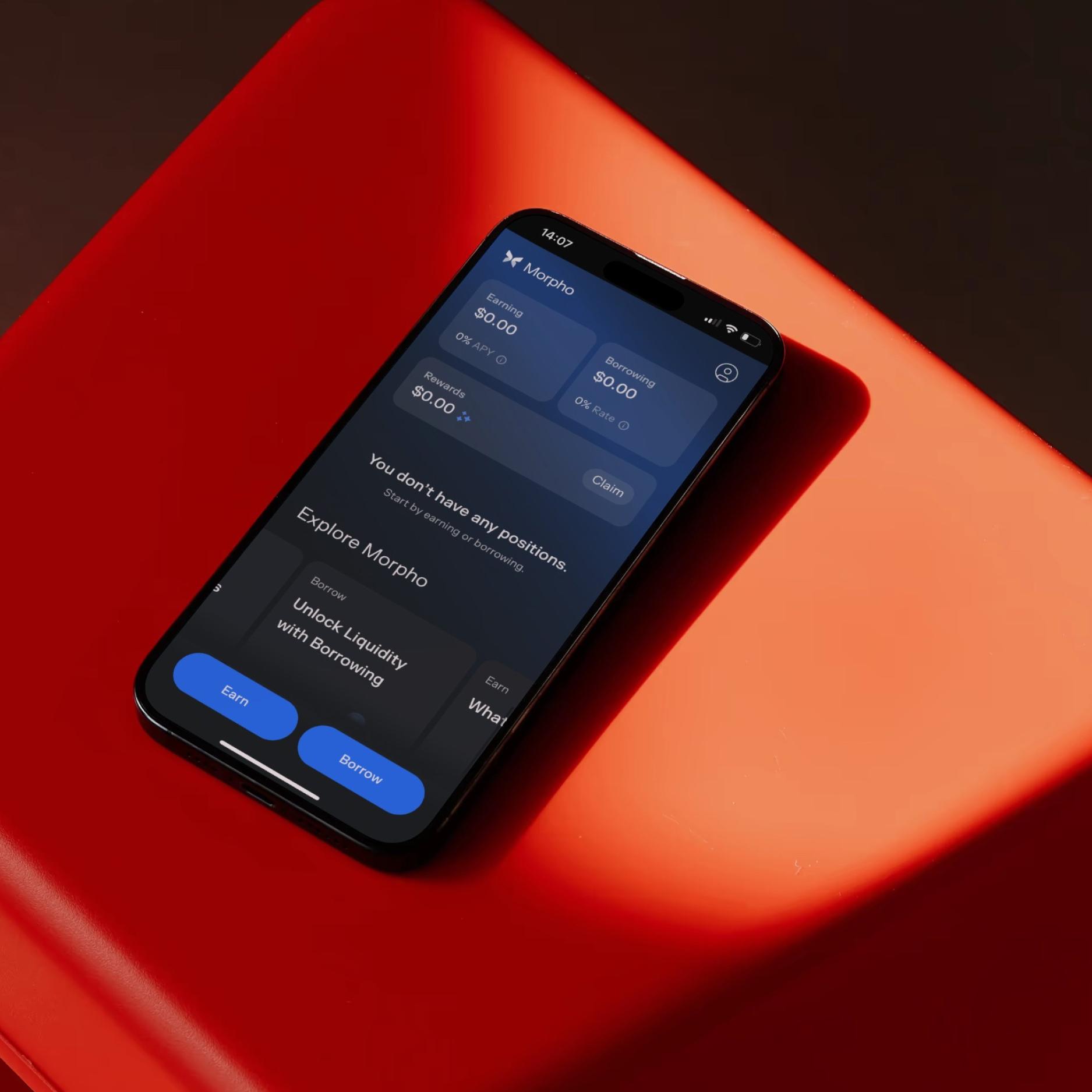 Morpho case study cover