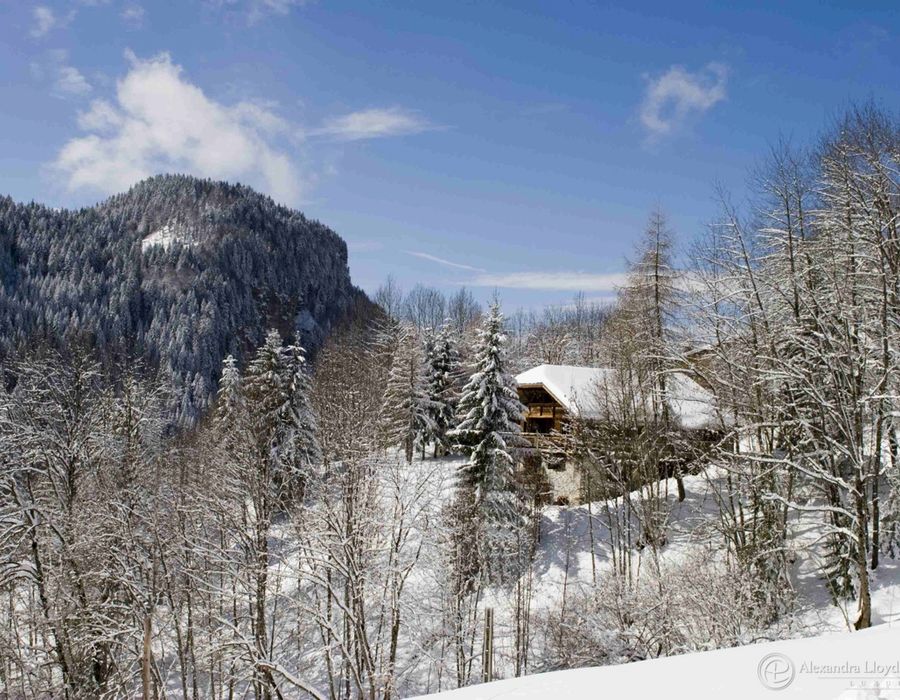 “Its like something from a James bond set” - Stunning chalet in Les Gets 1