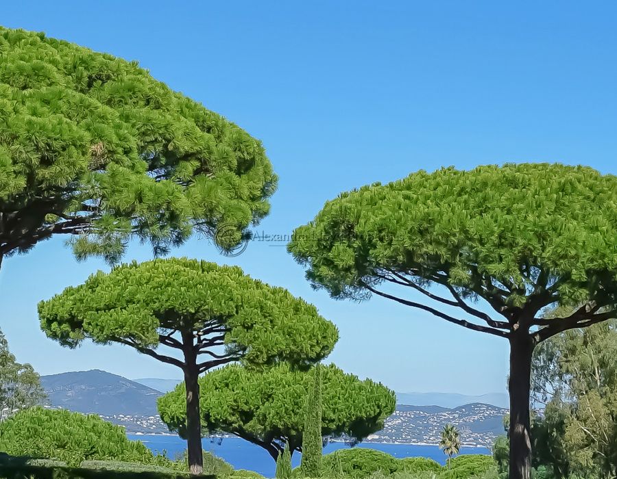 Exceptional property! A seven bedroom villa for rent in Les Parcs de Saint Tropez 6