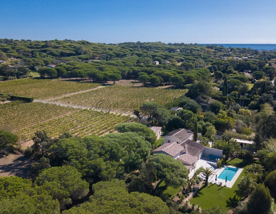 La Moutte, Saint Tropez 2