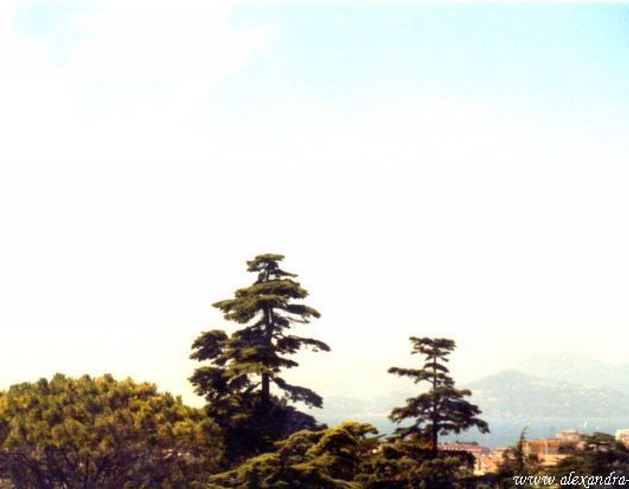 Stunning 19th century Chateau in Cannes 5