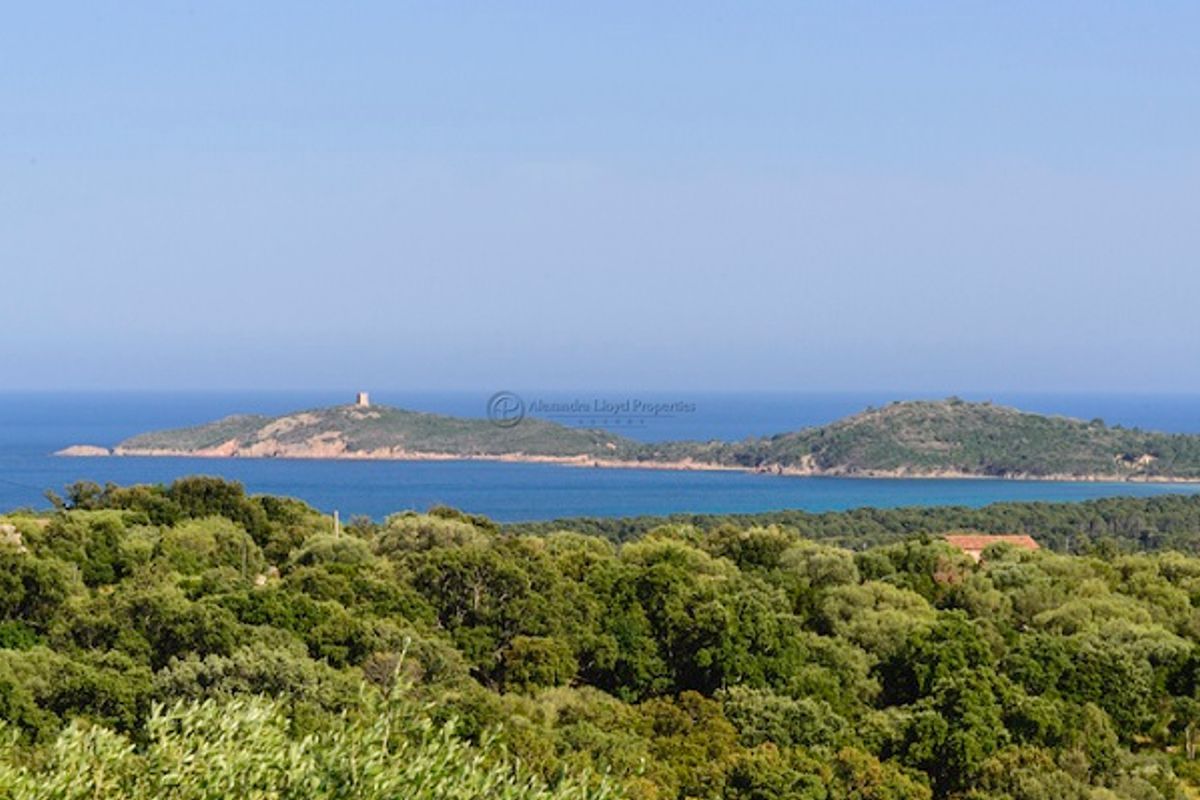 Welcome to Pinarello, South Corsica. Stunning contemporary villa with amazing views