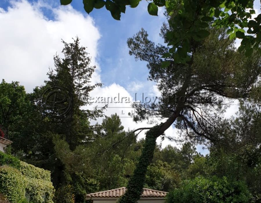 Saint Martin de Peille 4