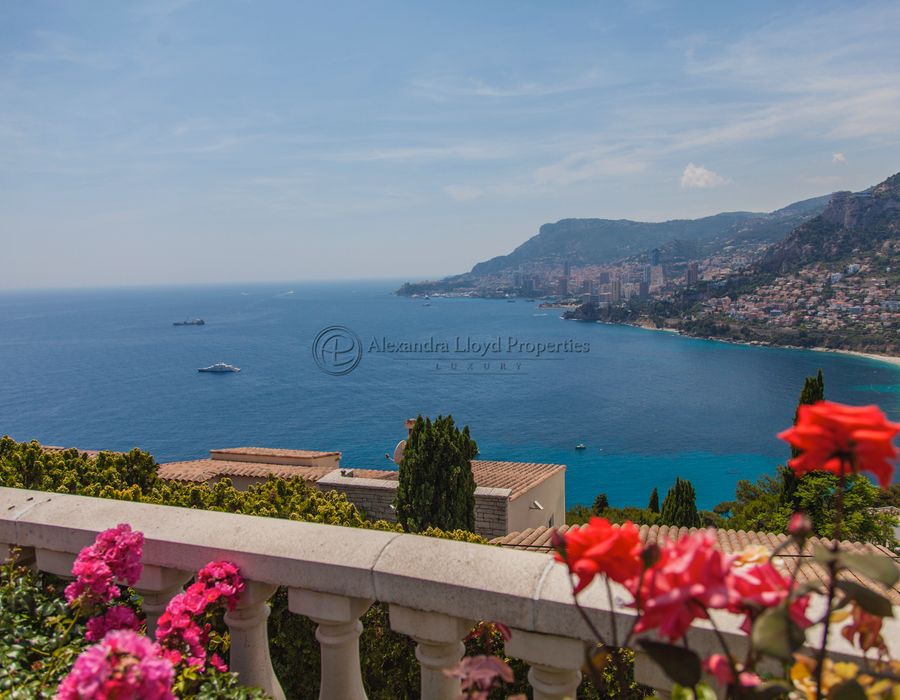 Breathtaking views over Monaco and the French Riviera 4